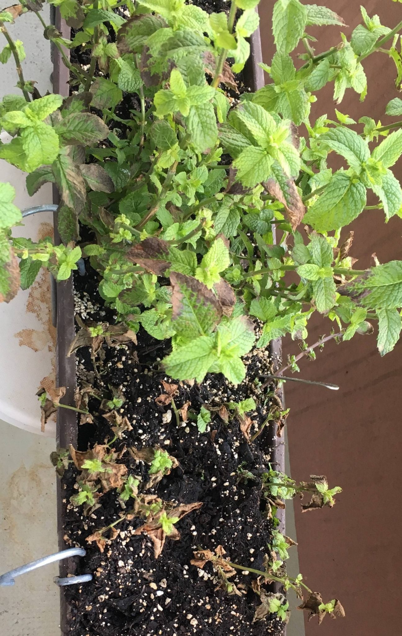 AgriculturelearningThe biggest field of agricultural information in