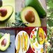 Avocado fruit Production technology in Bangladesh